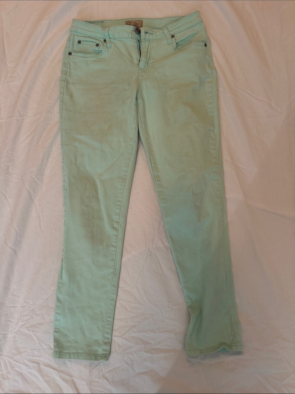 Earl Jeans Pastel Mint Skinny Jeans